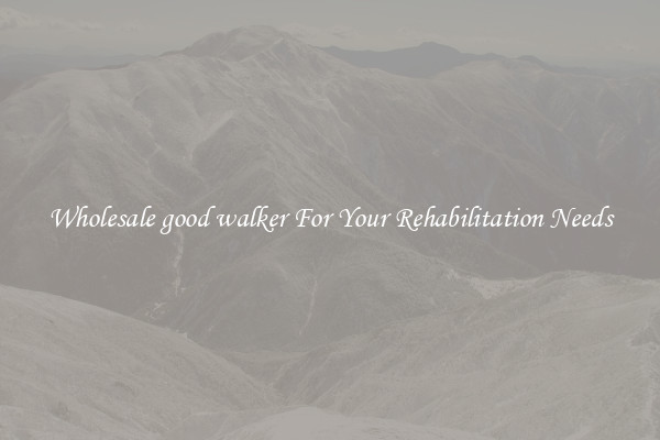 Wholesale good walker For Your Rehabilitation Needs