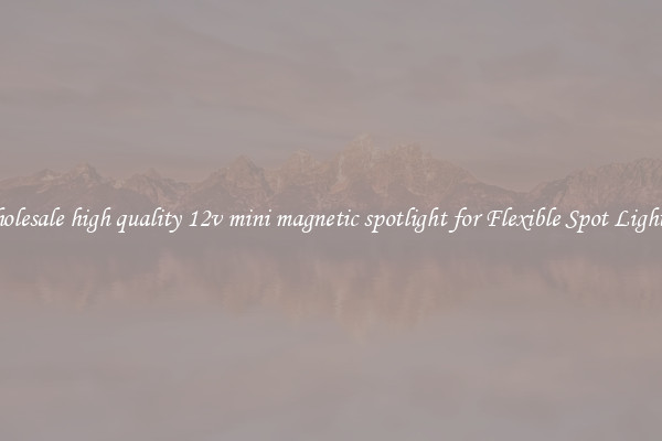 Wholesale high quality 12v mini magnetic spotlight for Flexible Spot Lighting