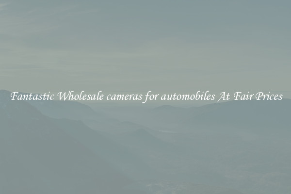 Fantastic Wholesale cameras for automobiles At Fair Prices