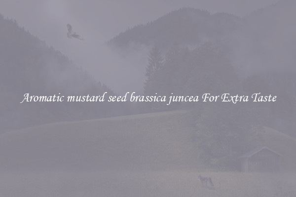 Aromatic mustard seed brassica juncea For Extra Taste