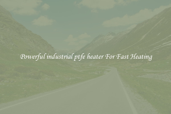 Powerful industrial ptfe heater For Fast Heating