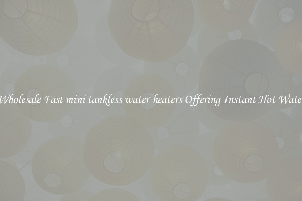 Wholesale Fast mini tankless water heaters Offering Instant Hot Water