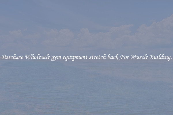 Purchase Wholesale gym equipment stretch back For Muscle Building.