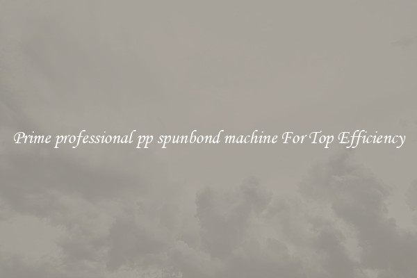 Prime professional pp spunbond machine For Top Efficiency