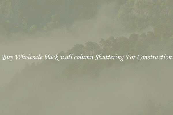 Buy Wholesale black wall column Shuttering For Construction