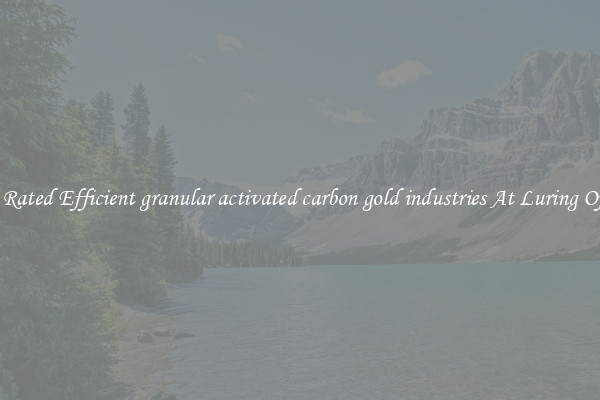Top Rated Efficient granular activated carbon gold industries At Luring Offers
