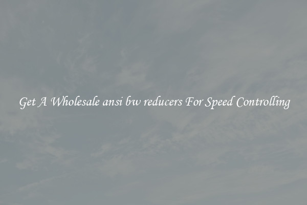 Get A Wholesale ansi bw reducers For Speed Controlling