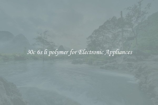 30c 6s li polymer for Electronic Appliances