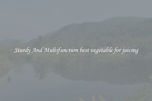 Sturdy And Multifunction best vegetable for juicing