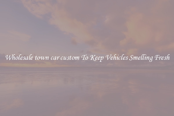 Wholesale town car custom To Keep Vehicles Smelling Fresh