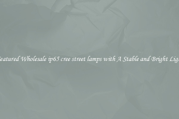 Featured Wholesale ip65 cree street lamps with A Stable and Bright Light