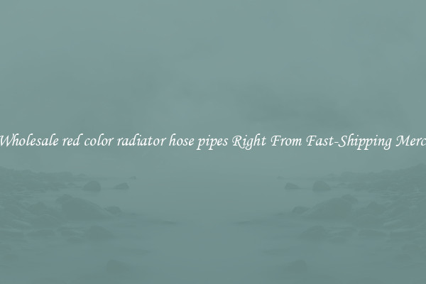 Buy Wholesale red color radiator hose pipes Right From Fast-Shipping Merchants