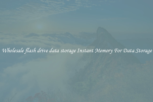 Wholesale flash drive data storage Instant Memory For Data Storage