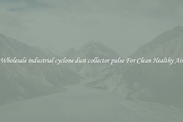 Wholesale industrial cyclone dust collector pulse For Clean Healthy Air