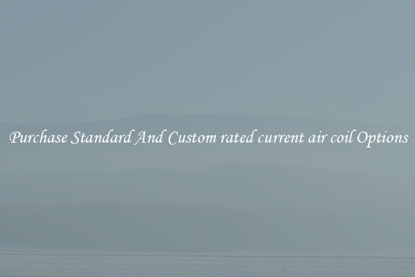 Purchase Standard And Custom rated current air coil Options