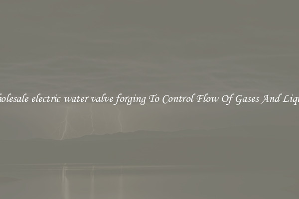 Wholesale electric water valve forging To Control Flow Of Gases And Liquids