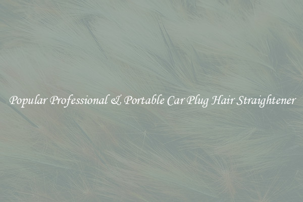 Popular Professional & Portable Car Plug Hair Straightener