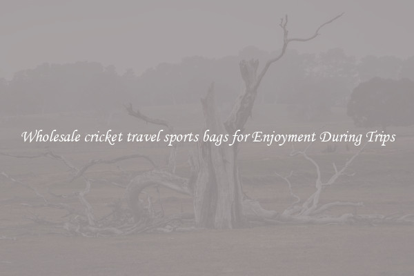 Wholesale cricket travel sports bags for Enjoyment During Trips