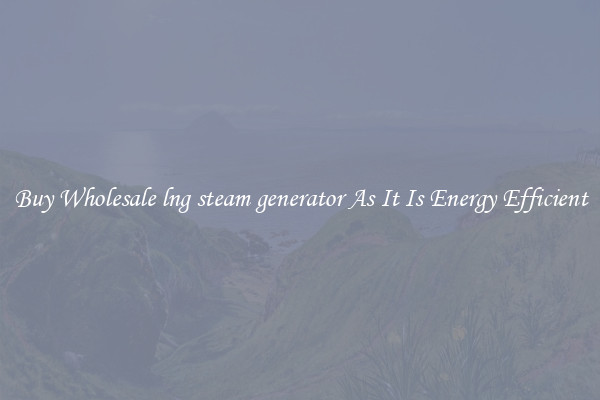 Buy Wholesale lng steam generator As It Is Energy Efficient