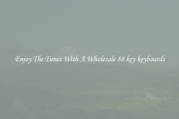 Enjoy The Tunes With A Wholesale 88 key keyboards
