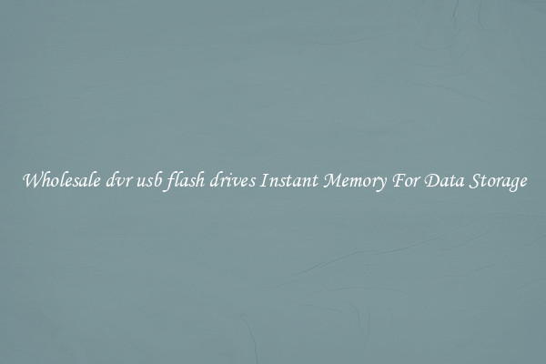 Wholesale dvr usb flash drives Instant Memory For Data Storage