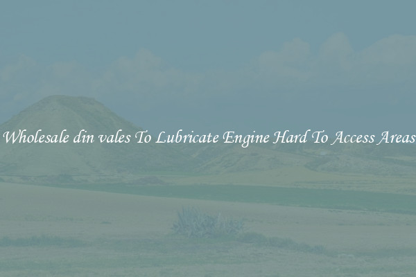 Wholesale din vales To Lubricate Engine Hard To Access Areas