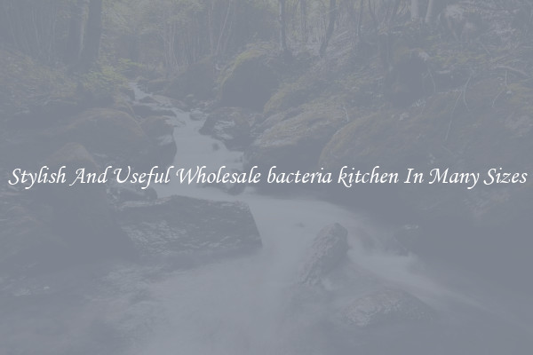 Stylish And Useful Wholesale bacteria kitchen In Many Sizes